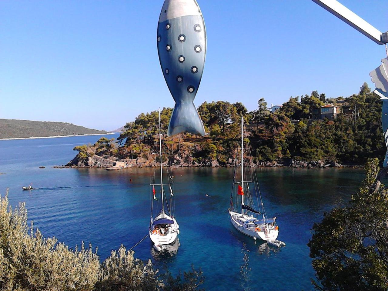 Odyssia Near The Seaside Apartment Agios Petros  Bagian luar foto