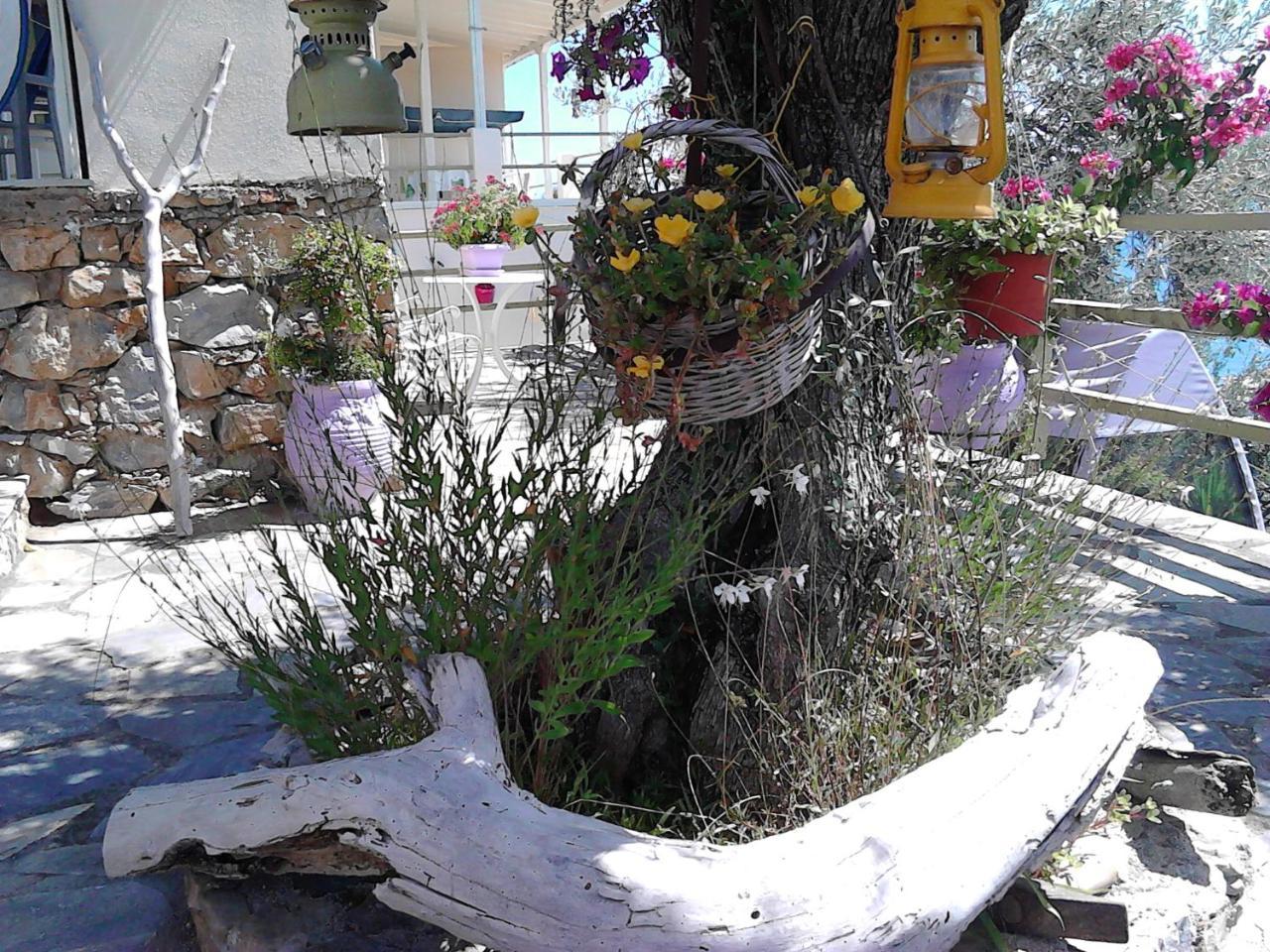 Odyssia Near The Seaside Apartment Agios Petros  Bagian luar foto